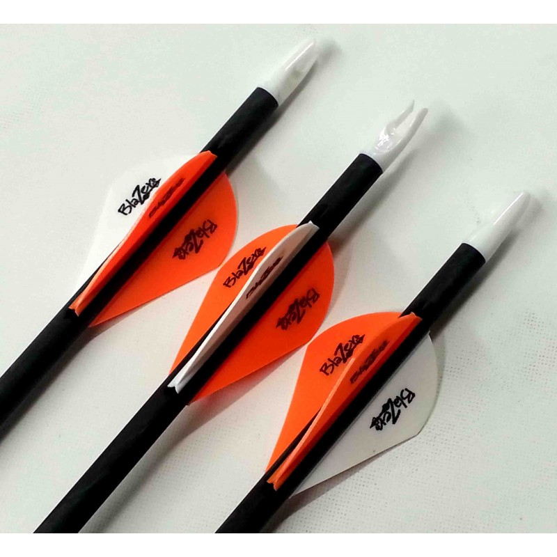 Carbon Impact XLT 3D or Hunting Arrow